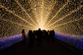 The tunnel of light in Nabana no Sato garden at night in winter, Japan Royalty Free Stock Photo