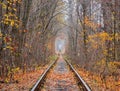 Tunnel of Love at late autumn. Klevan, Ukraine Royalty Free Stock Photo