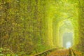 Tunnel of Love and Summer Ukrainian Park in Klevan Royalty Free Stock Photo