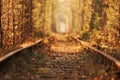 Tunnel of Love. Tunnel of Love in Ukraine. A railway in the autumn forest tunnel of love. Old mysterious forest Royalty Free Stock Photo