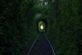 The Tunnel of Love. Wonders of nature. A natural arch formed by intertwined trees above a railway. Arch of Green tunnel