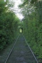 The Tunnel of Love. Wonders of nature. A natural arch formed by intertwined trees above a railway. Arch of Green tunnel