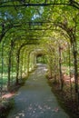 A tunnel made of plants Royalty Free Stock Photo