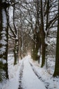 Tunnel path from tree trunk covered with snow and footh path. Czech early spring landscape Royalty Free Stock Photo
