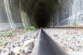 Train tunnel on Olt river canyon Royalty Free Stock Photo