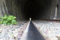 Train tunnel on Olt river canyon Royalty Free Stock Photo