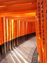 Tunnel of Red Torii at Fushimi Inari