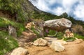 Tunnel Rock general view