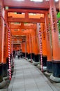 Tunnel of torii gates at Fushimi-Inari Shrine