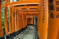 Tunnel of Torii Gates