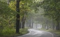 Tunnel of trees along scenic byway 119 near Harbor springs, Michigan Royalty Free Stock Photo