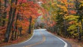 Tunnel of trees in autumn time in Michigan upper peninsula