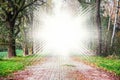 Tunnel of trees leading to light , Background of religions Royalty Free Stock Photo