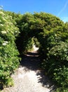 Tunnel (tube) from the trees