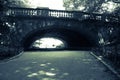 Tunnel under the bridge in dark green vintage style, Central Park Royalty Free Stock Photo