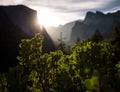 Tunnel View, Yosemite National Park Portrait Royalty Free Stock Photo