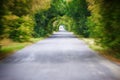 Tunnel vision:Road in motion speed on the asphalt forest road blur background