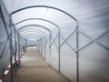 Tunnel white plastic walkway with metal structure to prevent rain and sunlight