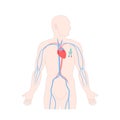 Tunneled central line venous catheter on male body