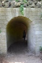 Tunnels in the Heidestein nature reserve managed by the Dutch Utrecht Landscape Foundation`