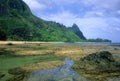 Tunnels at low tide