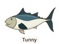 Tunny sea fish cartoon illustration for children