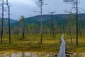 Tunturiaapa Trail, in Pyha-Luosto National Park