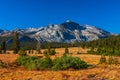 Tuolumne meadows in summer, Yosemite National Park. Royalty Free Stock Photo