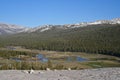 Tuolumne Meadows, Tioga pass, Yosemite