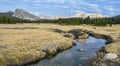 Tuolumne Meadows, Yosemite National Park Royalty Free Stock Photo