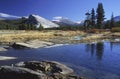 Tuolumne River in Yosemite Royalty Free Stock Photo