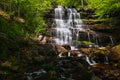 Tupavica Waterfall, Dojkinci, Balkan mountains, Serbia.