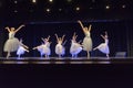 Swan Lake Ballet Performance In Tupelo, MS. Royalty Free Stock Photo