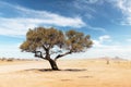 Tupical landscape of Namibia, Africa Royalty Free Stock Photo