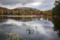 Tupper Lake, Adirondack Mountains Royalty Free Stock Photo