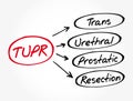 TUPR - Trans Urethral Prostatic Resection