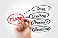 TUPR - Trans Urethral Prostatic Resection acronym, medical concept background