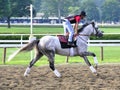 Turalure Workouts at Saratoga