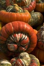 Turban squash Royalty Free Stock Photo