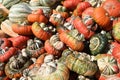 Turban Squash Royalty Free Stock Photo