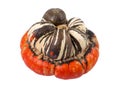 Turban squash isolated over white background Royalty Free Stock Photo