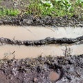 Turbid puddle in country rut