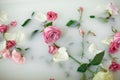 Milk in bath with roses Royalty Free Stock Photo