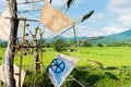 Turbine baler in rice farm