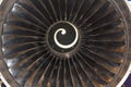 Turbine blades of aircraft jet engine