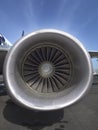 Turbine fan of a jet airplane