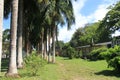 Turbo Cemetery, Antioquia, Colombia. Royalty Free Stock Photo