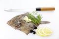 Turbot Royalty Free Stock Photo