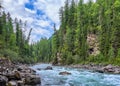 Turbulent flow of mountain stream. Siberian landscape Royalty Free Stock Photo