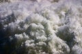 Turbulent spraying water gushing from pressure outlet at Lake Hume dam Royalty Free Stock Photo